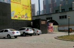乐凯北大街今日头条,聚焦最新动态，探寻城市脉搏
