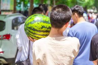 吃瓜学院最新,娱乐圈幕后那些事儿
