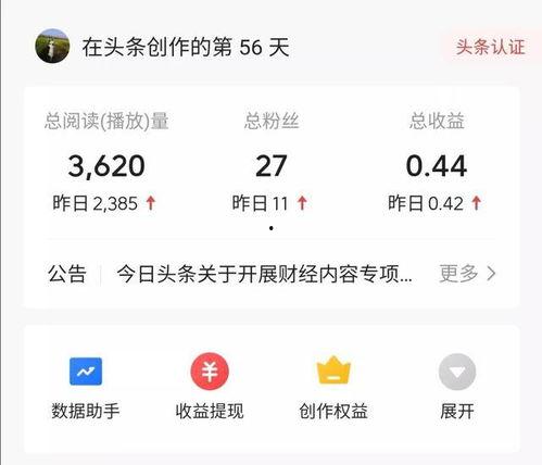 头条柚子收益是多少啊,收益情况一览”