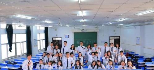 河南医科大学爆料事件最新,真相与反思并行