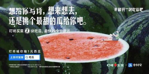 比赛吃瓜文案怎么写好,揭秘比赛吃瓜文案的趣味与智慧