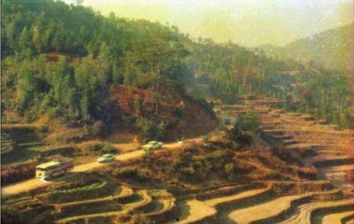 古田桥网红,穿越时空的网红打卡地，见证历史与现代的交融