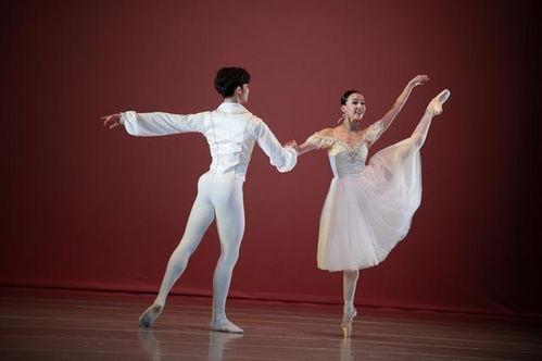 舞蹈专业的明星,舞蹈界璀璨明星风采集锦