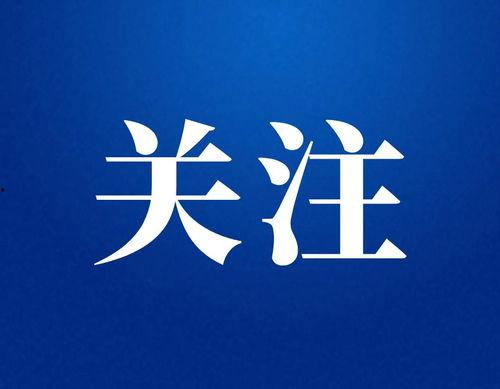 辉头条,聚焦热点，解码时代脉动