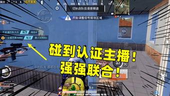 头条游戏解说陈大白是谁,陈大白的风采与魅力