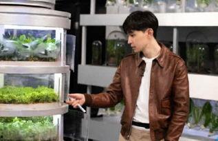 密室大逃脱明星版自印