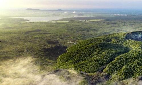 风景最新爆料视频大全,带你领略绝美风光