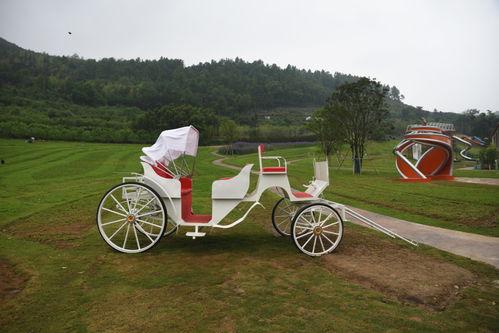 魔鬼中的天使卡点网红,揭秘网红背后的真实人生